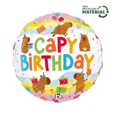 Circle - Turtle Birthday 18"/46cm Inflatable Foil Balloon