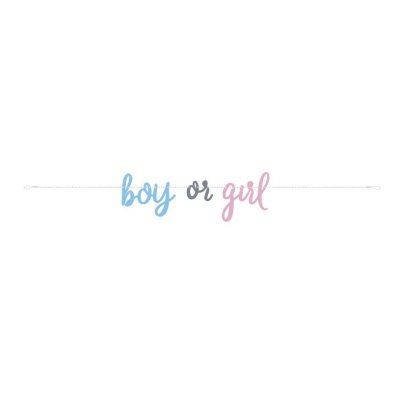 Banner - Boy or Girl, 213cm