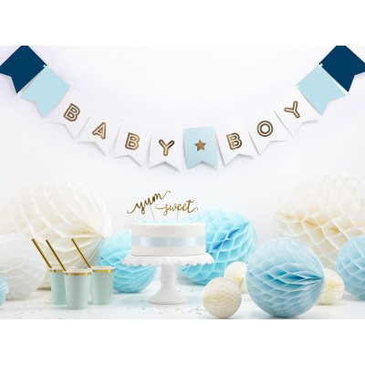 Banner - Baby Boy (15x160cm) - stThumbnailPlugin.php.jpg