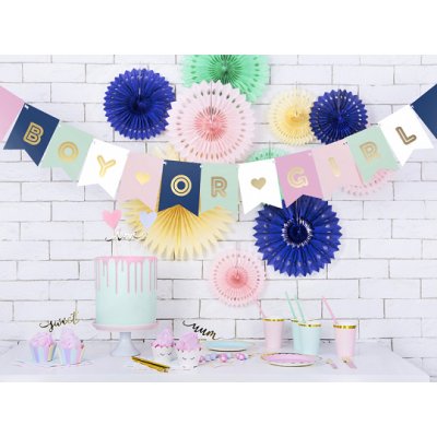 Banner - Boy or Girl (15x175cm) - large_GRL62_03_S.jpg