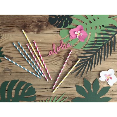 Paper straws - Fuchsia strips (10pcs) - large_SPP1-006_03_S.jpg