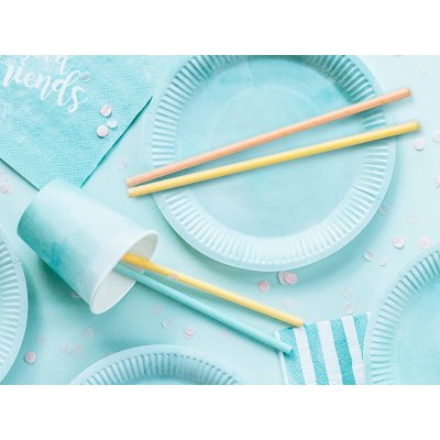 Paper straws - pastel color mix, 10 pcs - big_SPP10_03_S.jpg
