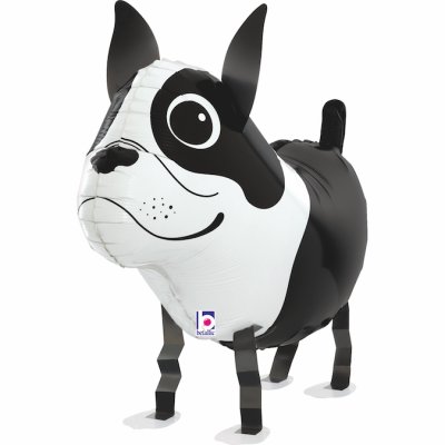 Walking Boston Terrier (48cm,19") foil balloon - 18100-Balloon-Friends-Boston-Terrier.jpg