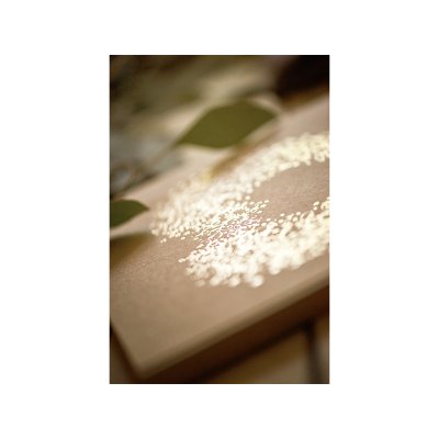 Guest book (20,5x20,5cm) 22 pages - big_KWAP48_06_S.jpg